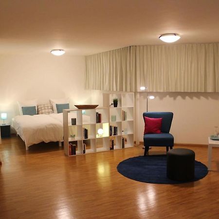 A Casa Fina- A Modern Room Close To Basel Therwil Buitenkant foto